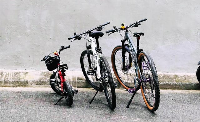 Thú chơi xe đạp